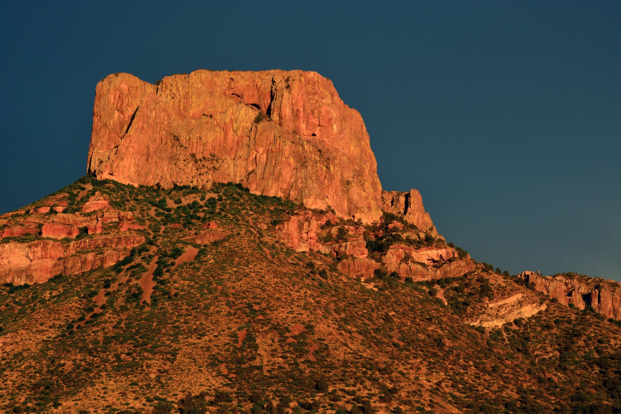 Chisos Basin Campground by null