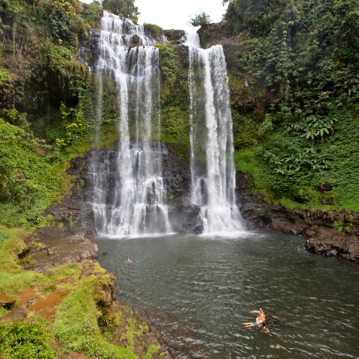 Bolaven Plateau, Провинция Тямпасак: лучшие советы перед посещением -  Tripadvisor