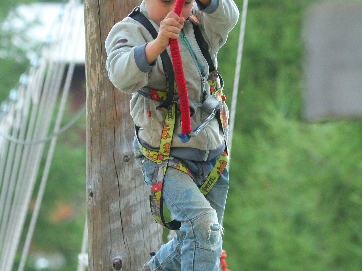 Swiss Adventure Parks: A Family-Friendly Guide to Thrills and Fun - Thrilling activities for families at Zermatt Forest Fun Park