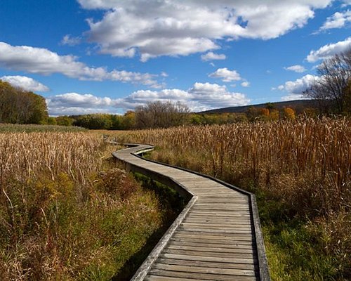 10 Best Trails and Hikes in Brick Township