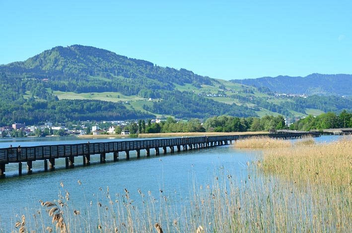 Wooden Bridge from Rapperswil to Hurden image