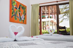 Room & Suite
