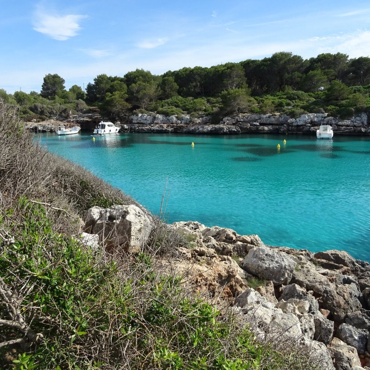 Cala Blanca Beach: All You Need to Know BEFORE You Go