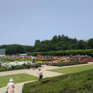 調布市の公園 自然 ベスト10 トリップアドバイザー