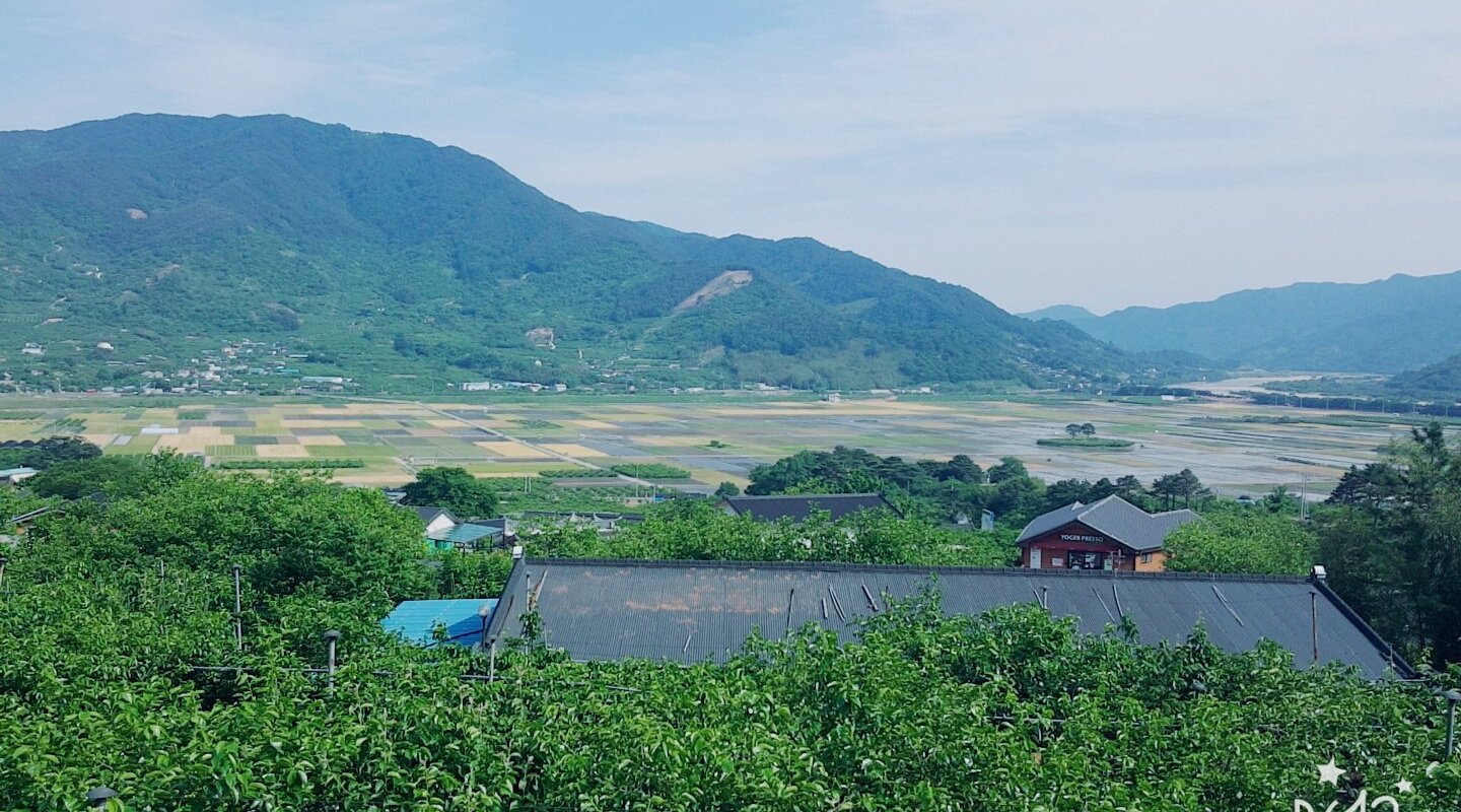 THE 15 BEST Things to Do in Hadong-gun (2025)