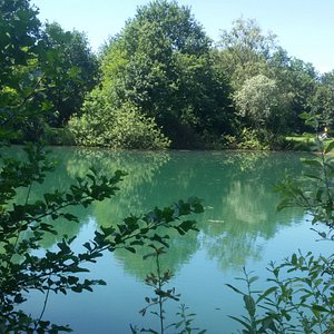 All'Orto Botanico di Brera in mostra le tavole parietali del Dodel-Port  Atlas