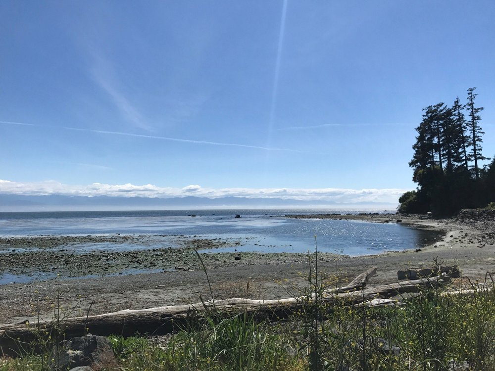 THE 15 BEST Things to Do in Sooke (Updated 2024)