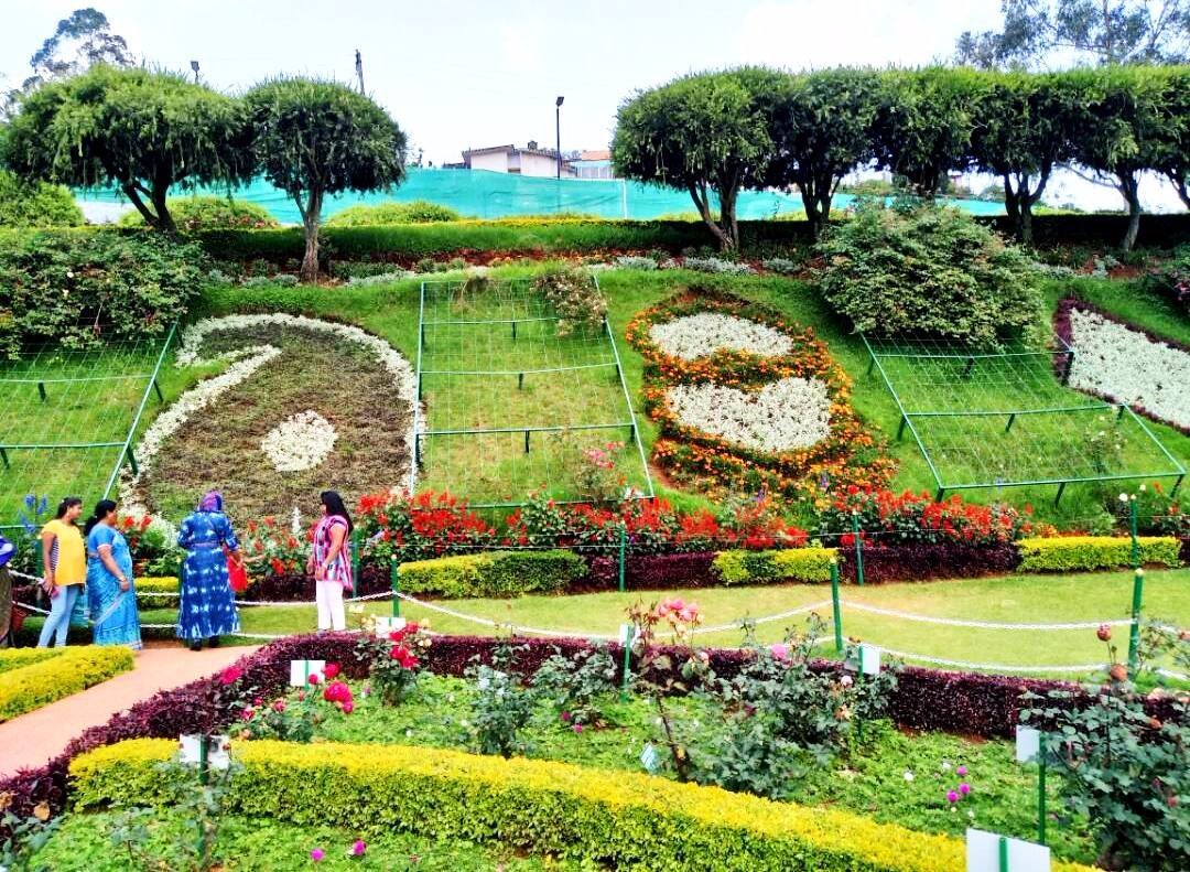 Government Rose Garden (Ooty (Udhagamandalam)) - All You Need to ...