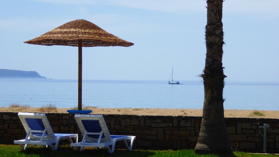 garden & beach