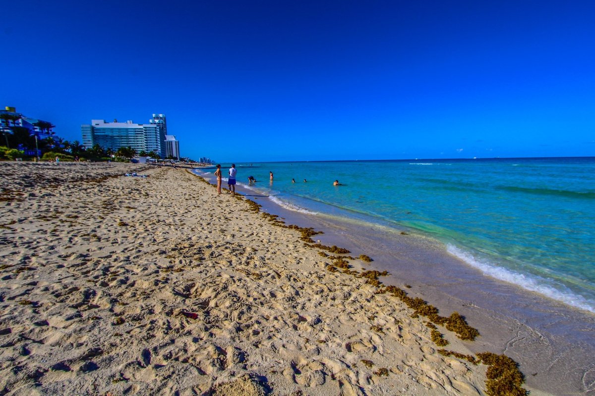  Miramar Beach FL Attractions: A Guide to Local Delights and Hidden Gems