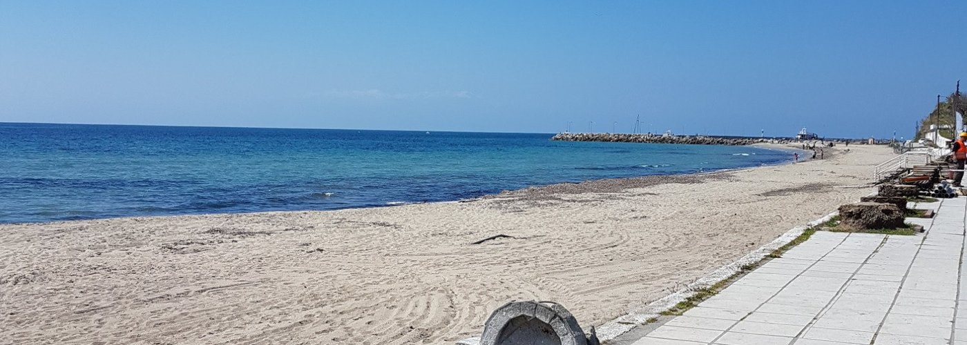 So sah es nach dem Winter 2016-2017 am Strand von Kallikratia aus.Alle Palmen erfroren!!!