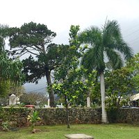 Historic cemetery is now viewable from all angles thanks to a handy crew!