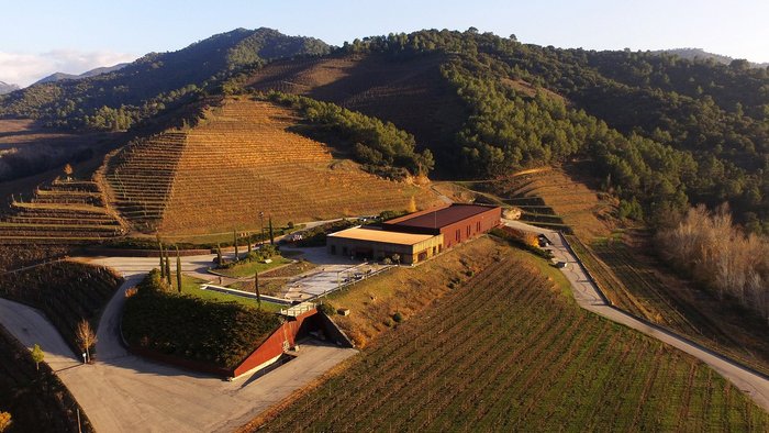 Imagen 2 de Perinet Winery