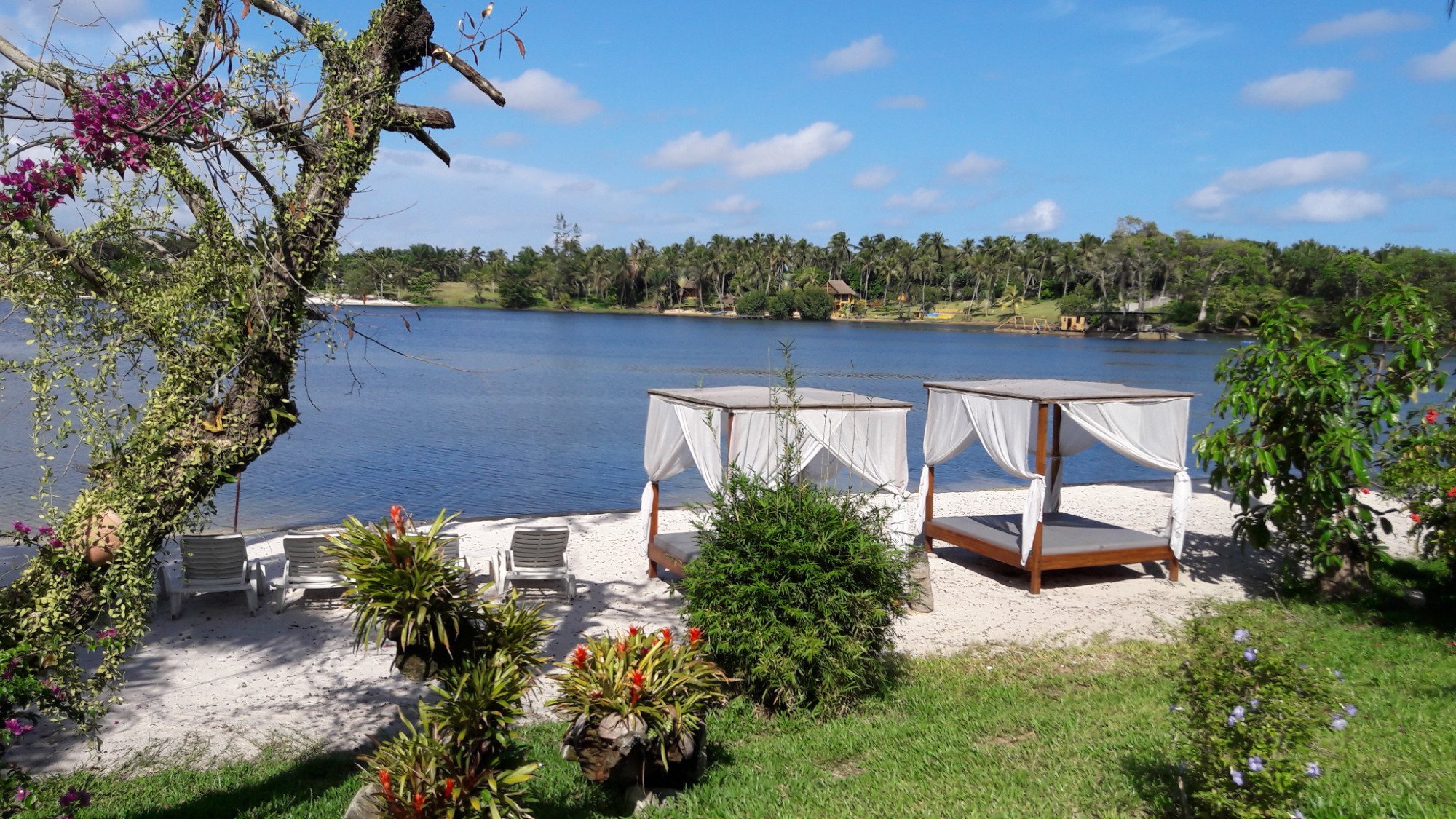 Coconut Grove Lodge image