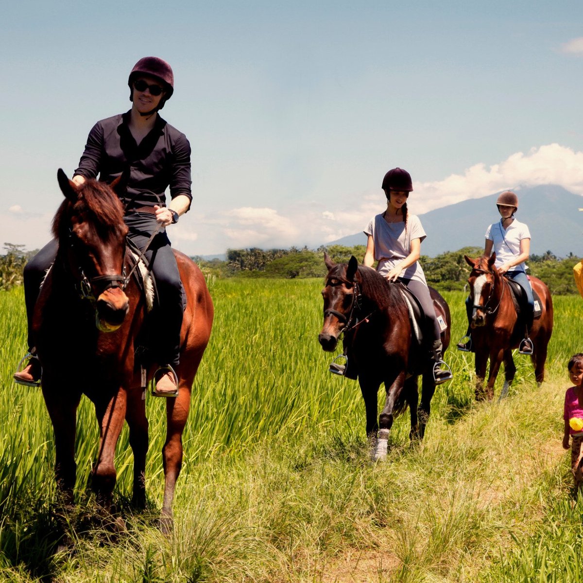 Ubud Horse Stables, Тегалаланг: лучшие советы перед посещением - Tripadvisor