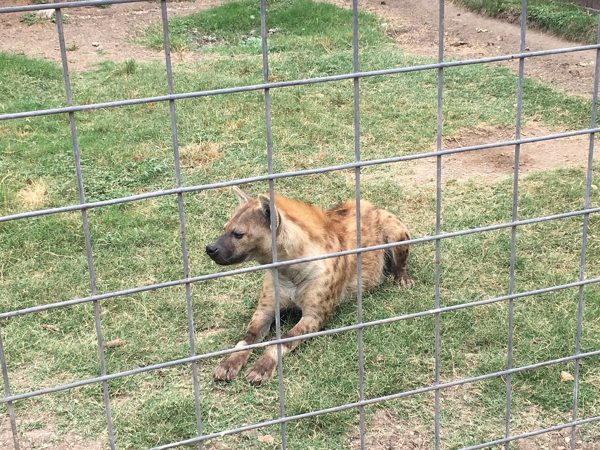 Animal World and Snake Farm Zoo (New Braunfels) - All You Need to Know BEFORE You Go Animal World and Snake Farm Zoo (New Braunfels) - All You Need to Know BEFORE You Go