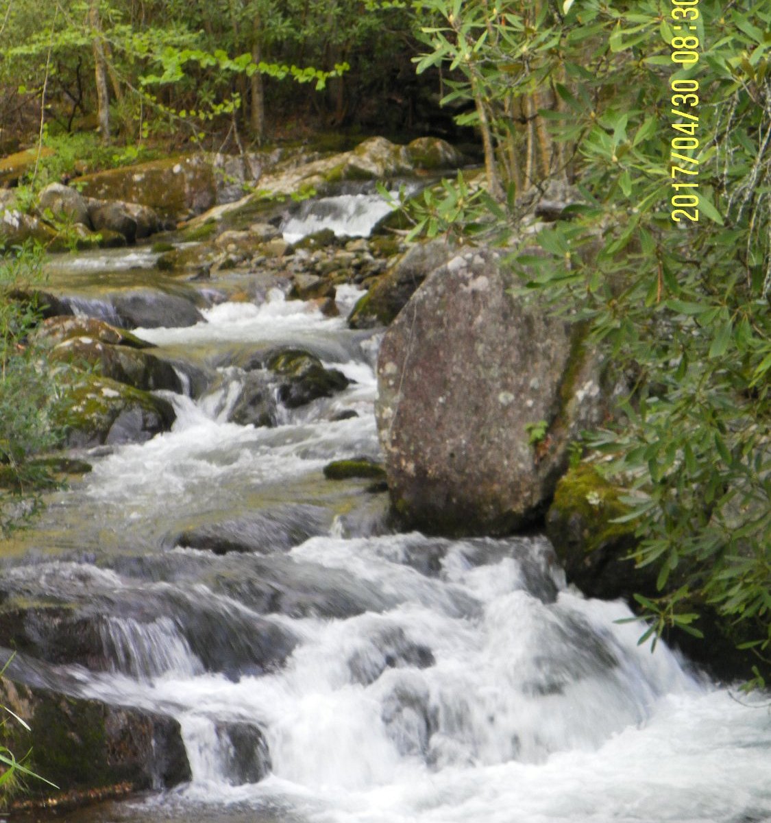 Rocky Fork State Park Camping