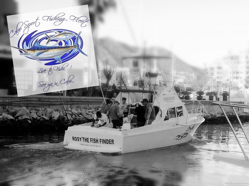 Cabo Sportfishing: Timing Your Saltwater Adventure Around Rainfall