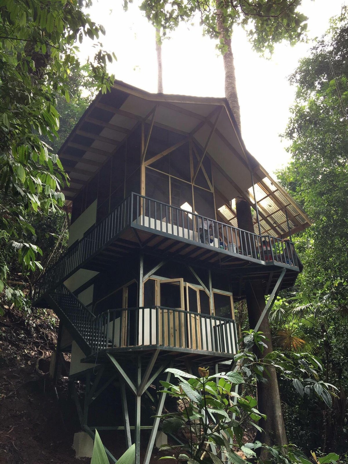 FINCA BELLAVISTA TREEHOUSE COMMUNITY (Piedras Blancas) - отзывы и фото -  Tripadvisor