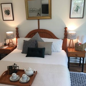 King Parrot Room
