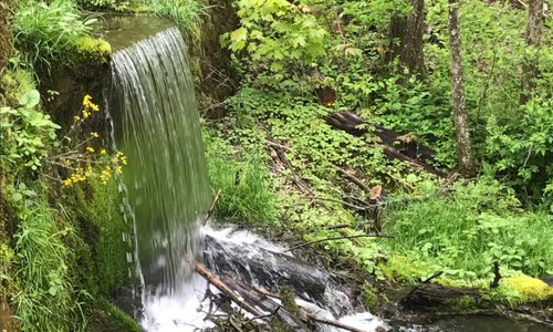 One of the many springs