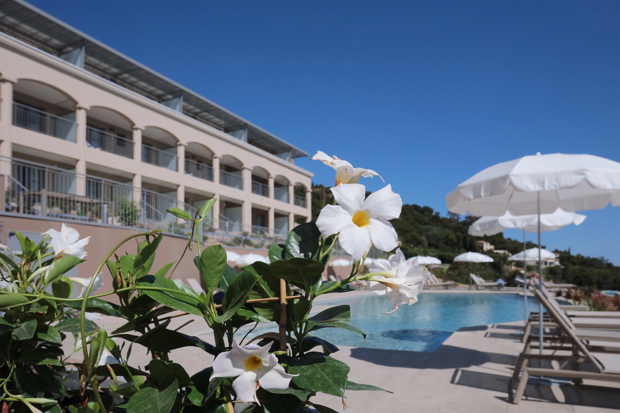 Hotel photo 44 of La Villa Douce.