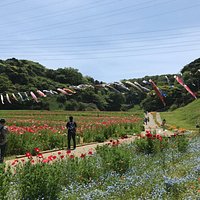 くりはま花の国