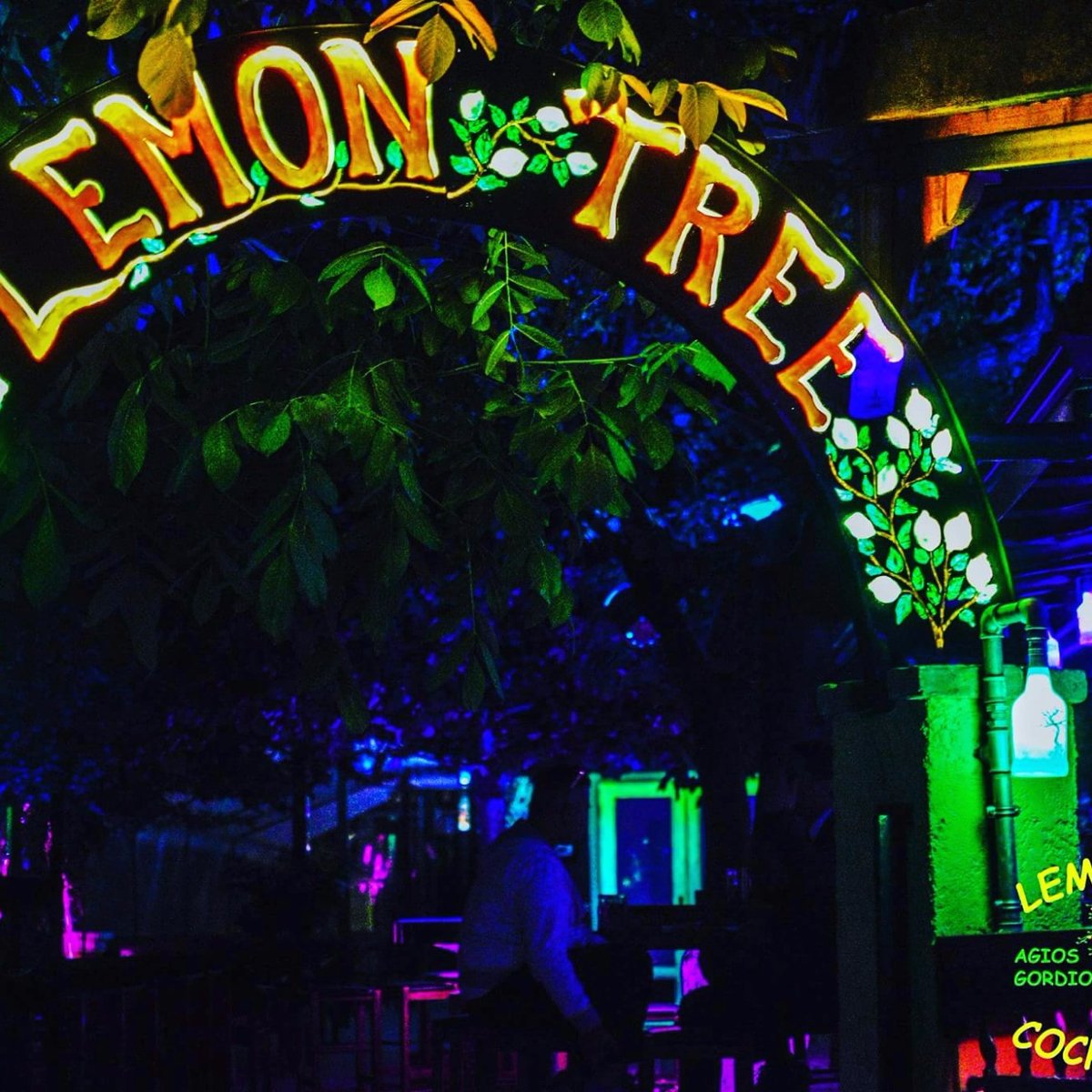 The Lemon Tree, Агиос-Гордиос: лучшие советы перед посещением - Tripadvisor