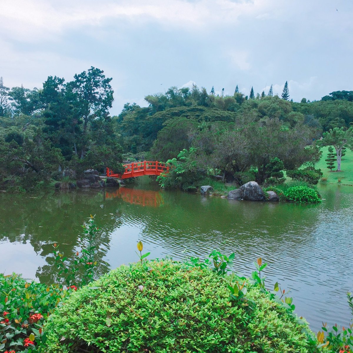 Jardin Botánico Nacional, Санто-Доминго: лучшие советы перед посещением -  Tripadvisor