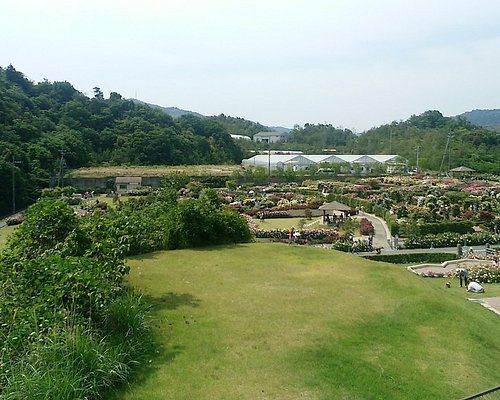 泉南市10 大景点玩乐 Tripadvisor 泉南市10 大景点玩乐 Tripadvisor