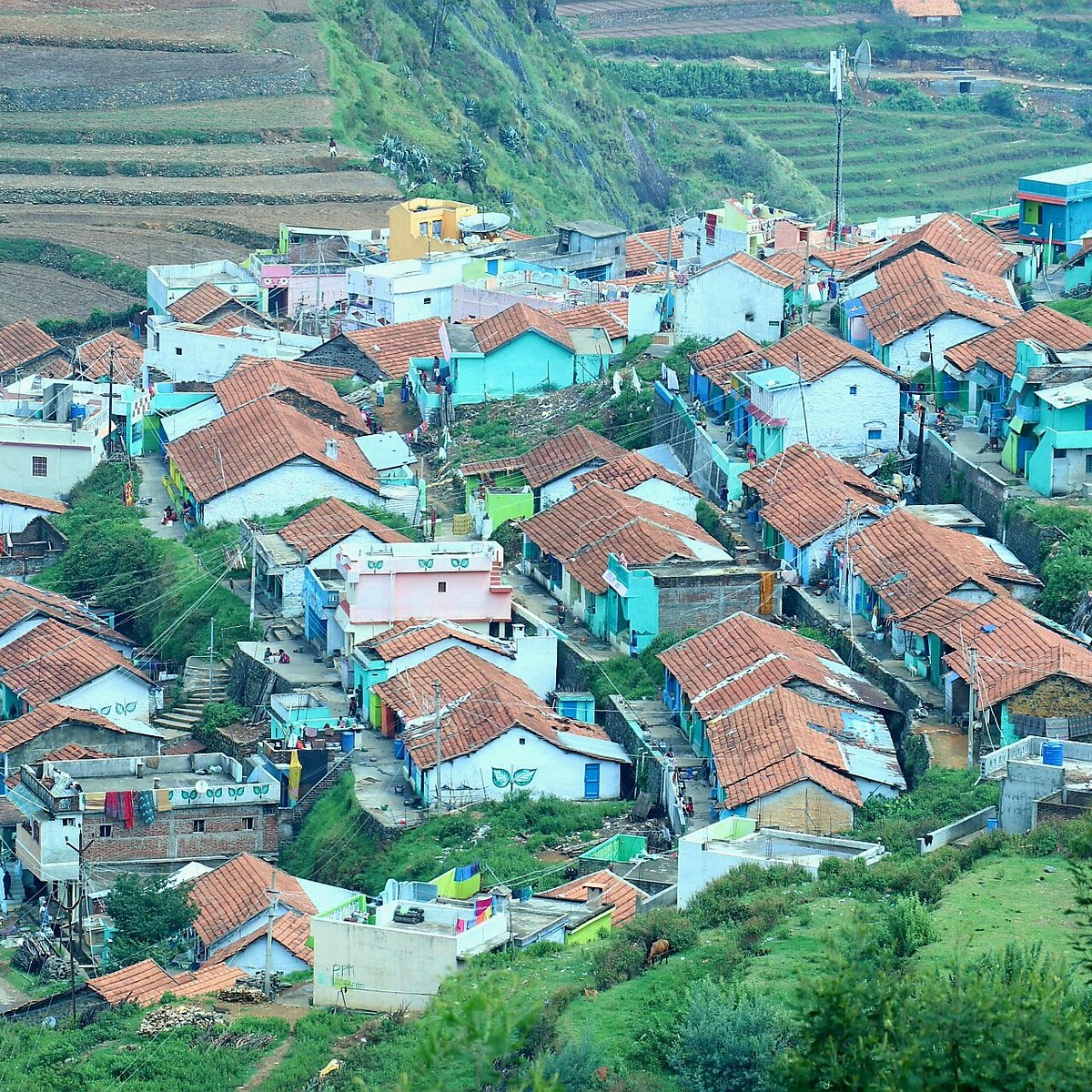 Village view