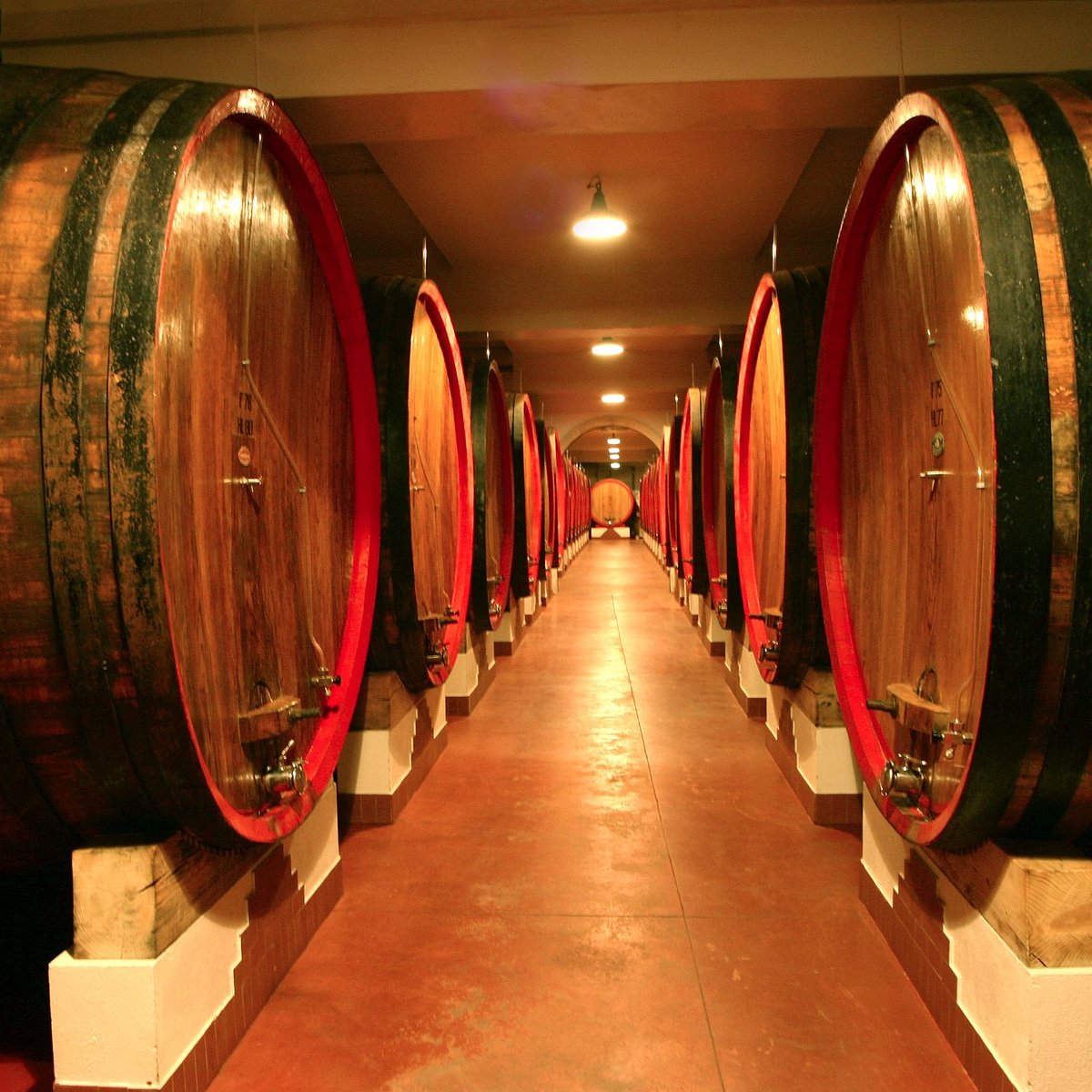 Raisin wine Gaudium - Cellar Tili - Umbria