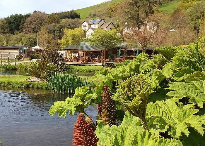 The gardens and ponds in front of our waterside cafe
