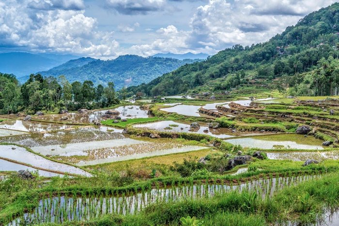 Batutumonga Tana Toraja Indonesia