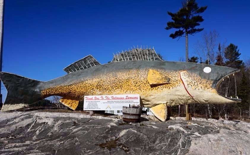 Look for the landmark BIG FISH and you've found us