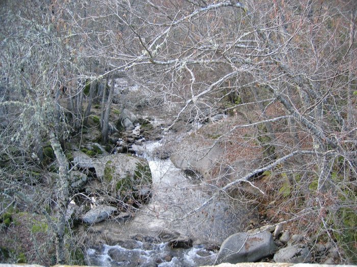 Imagen 15 de La Posada de San Gines