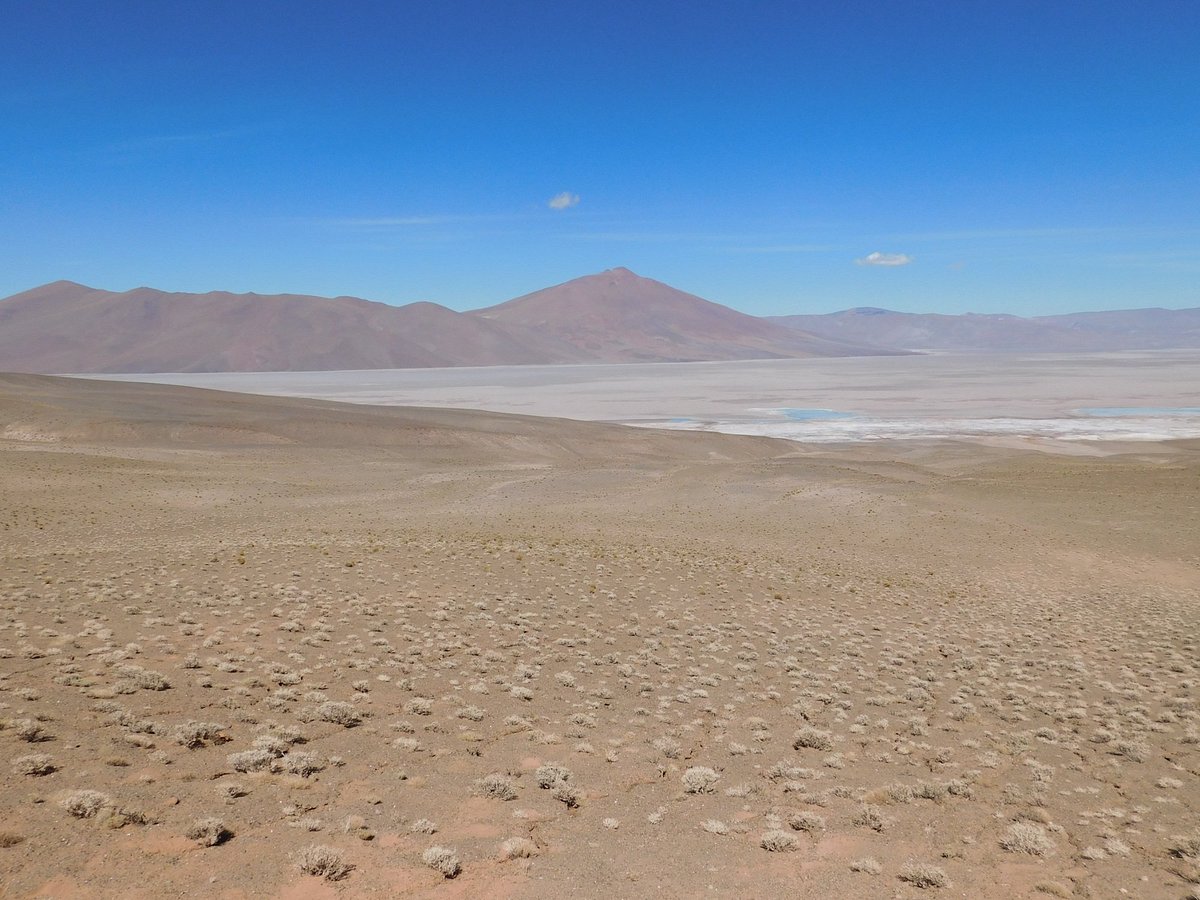 Salar del Rincon (Salta) - All You Need to Know BEFORE You Go