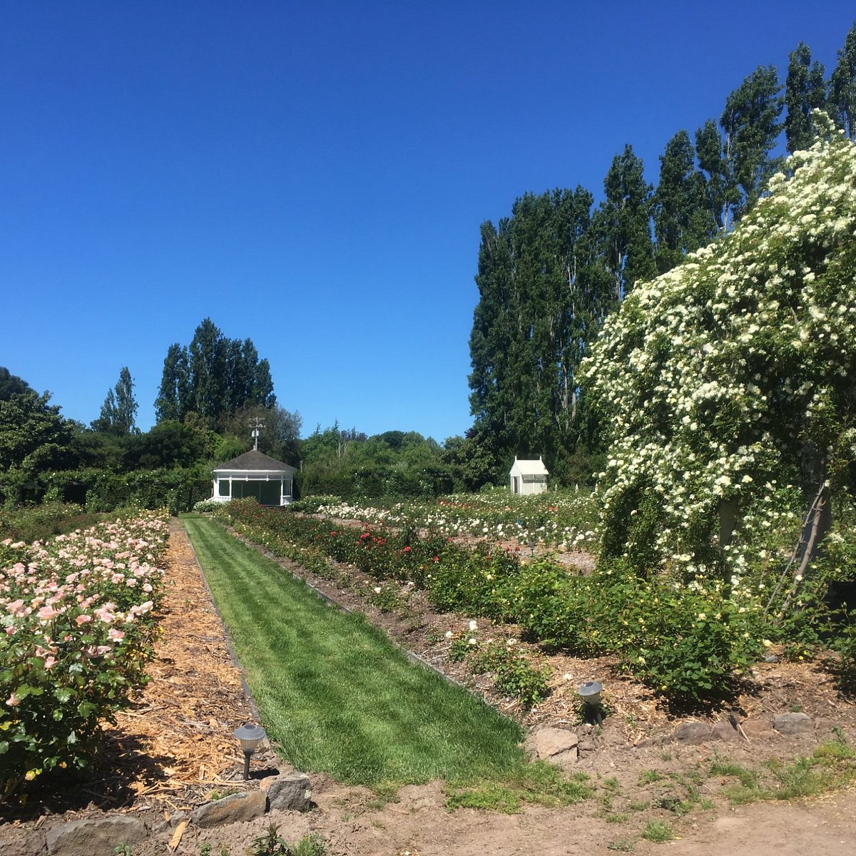 Garden Valley California достопримечательности.