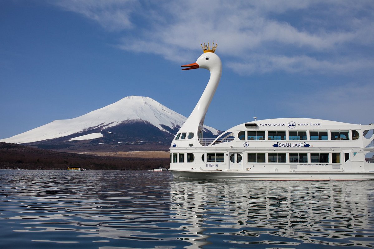 2024河口湖游览船游玩攻略,隐身的富士山 ，不过河岸的樱...【去哪儿攻略】