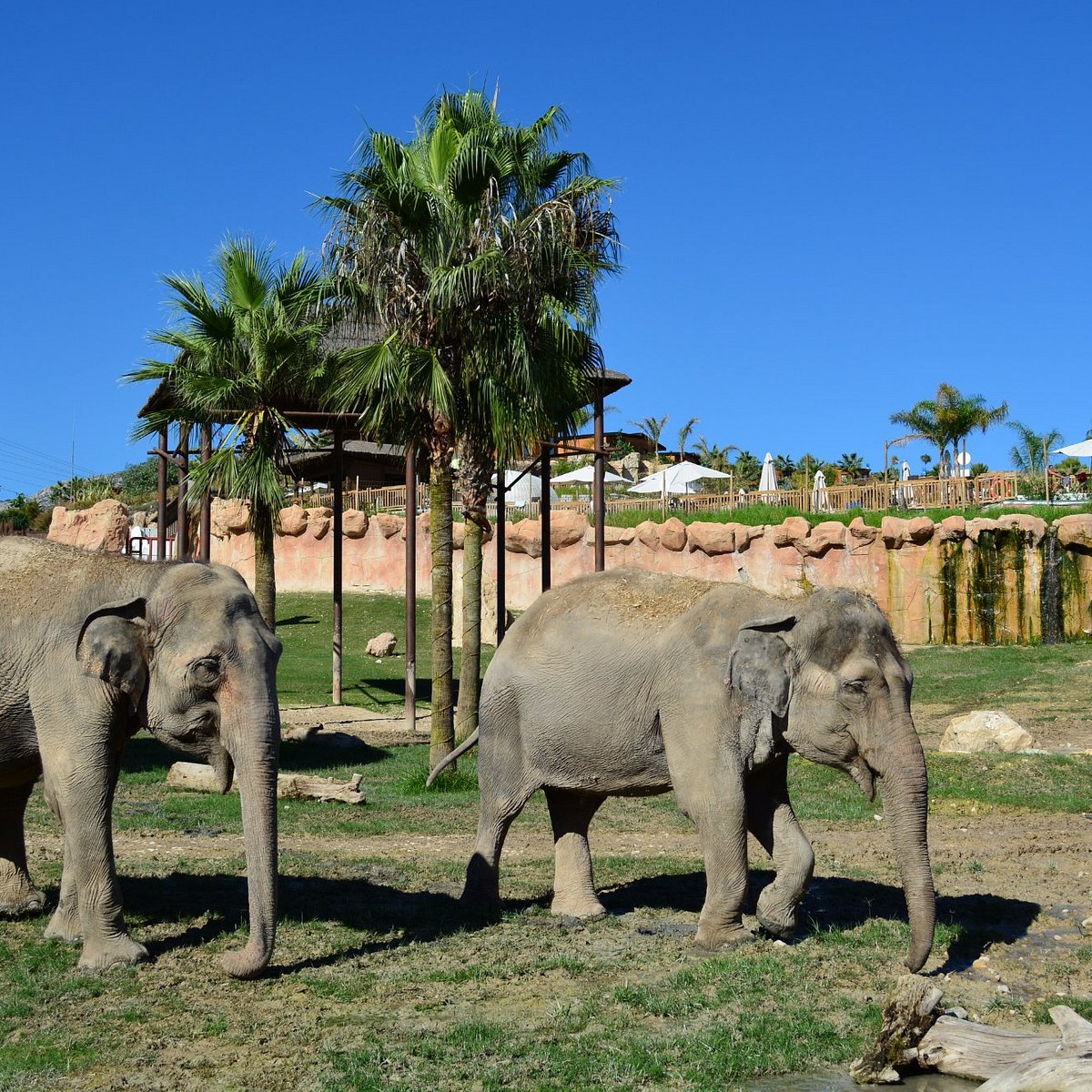 morphine Control Expired Terra Natura Benidorm - All You Need to Know BEFORE You Go