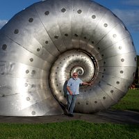 Mollusc