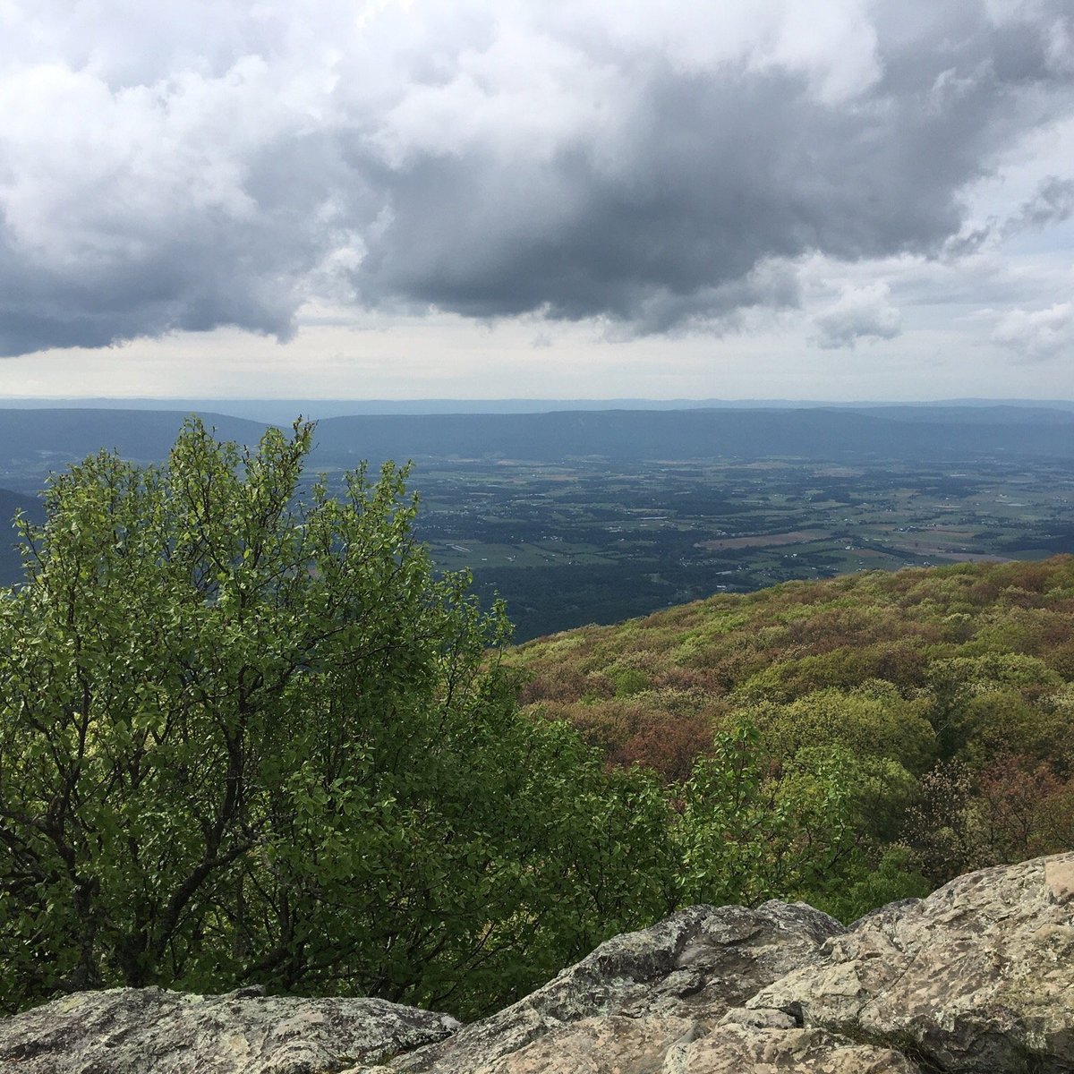 APPALACHIAN TRAIL (Shenandoah National Park) - 2023 What to Know BEFORE