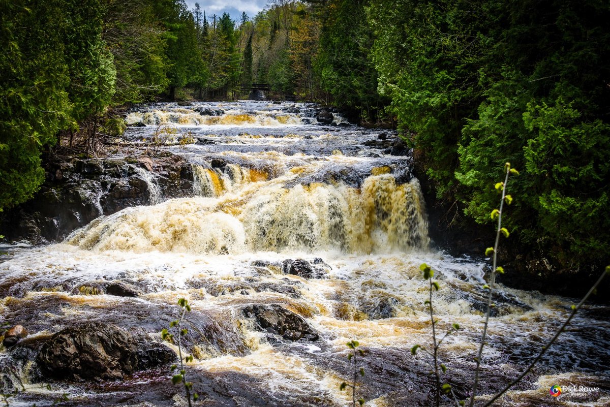 Copper Falls State Park, Mellen: лучшие советы перед посещением -  Tripadvisor