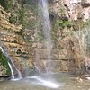 Things To Do in Ein Gedi Eco Center, Restaurants in Ein Gedi Eco Center