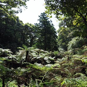 21年 八丈島八丈町で絶対外さないおすすめ観光スポットトップ10 定番から穴場まで トリップアドバイザー 21年 八丈島八丈町で絶対外さないおすすめ観光スポットトップ10 定番から穴場まで トリップアドバイザー