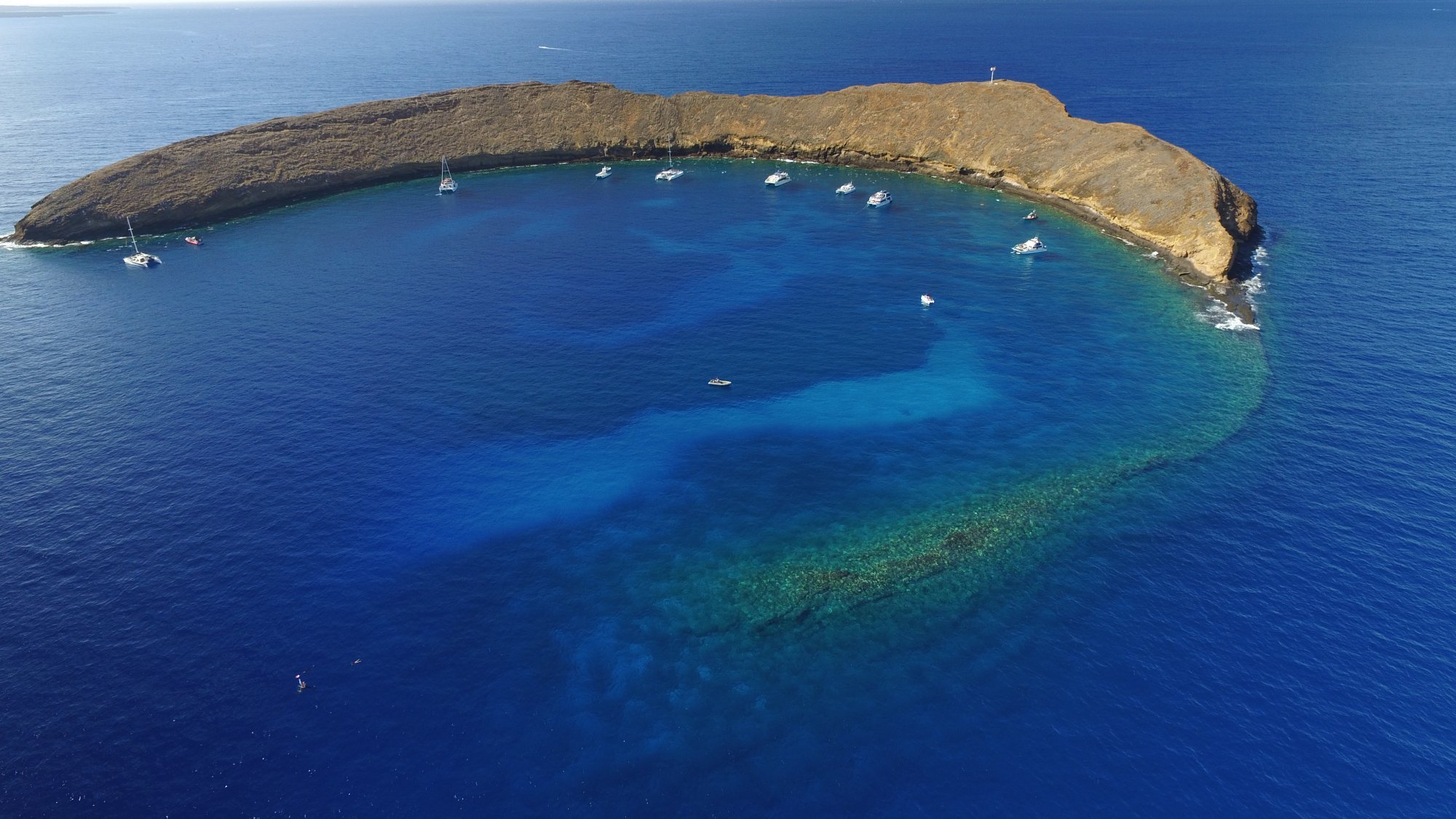 Maui Reef Adventures - All You Need to Know BEFORE You Go