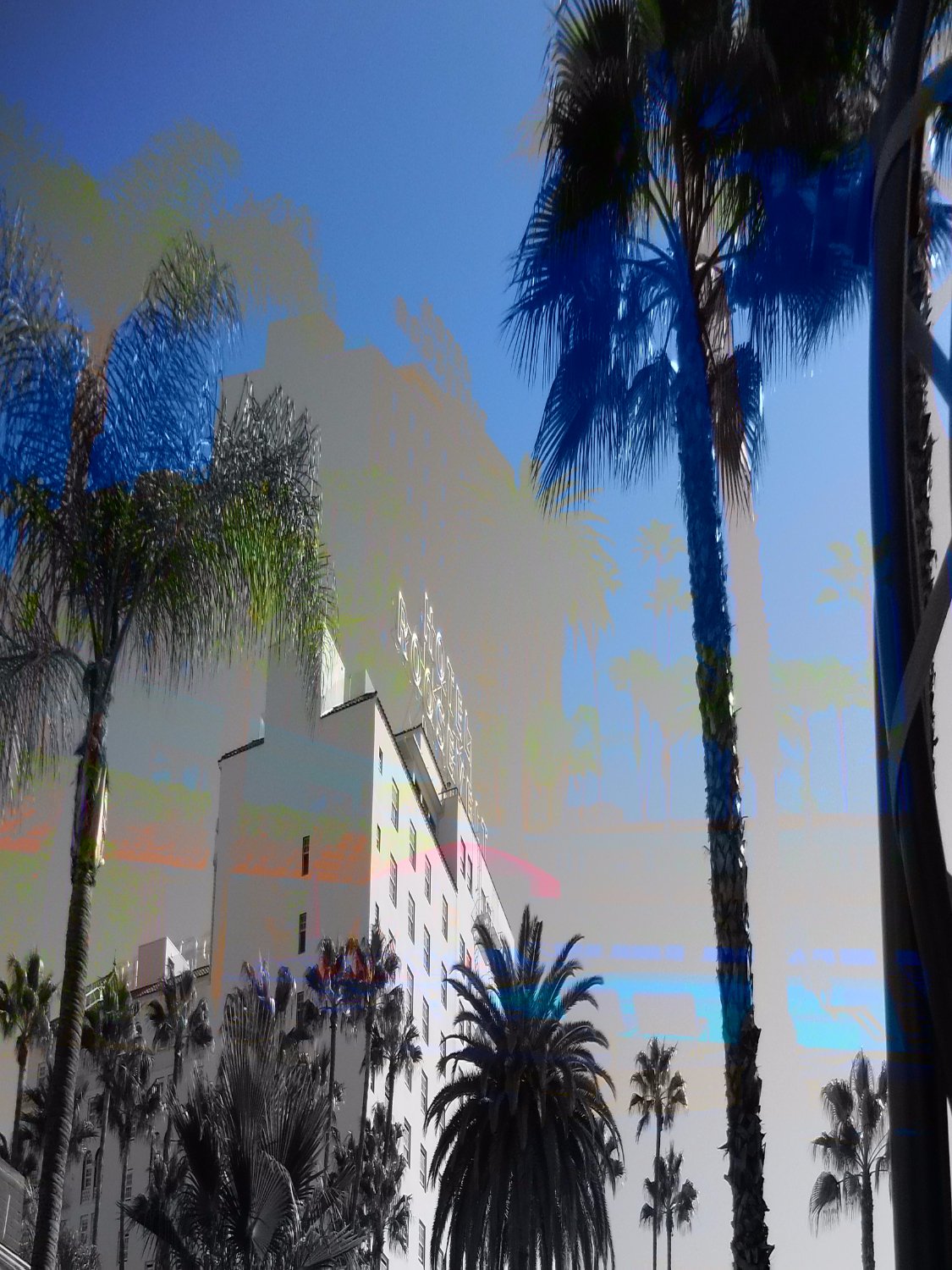 Hotel photo 89 of The Hollywood Roosevelt.
