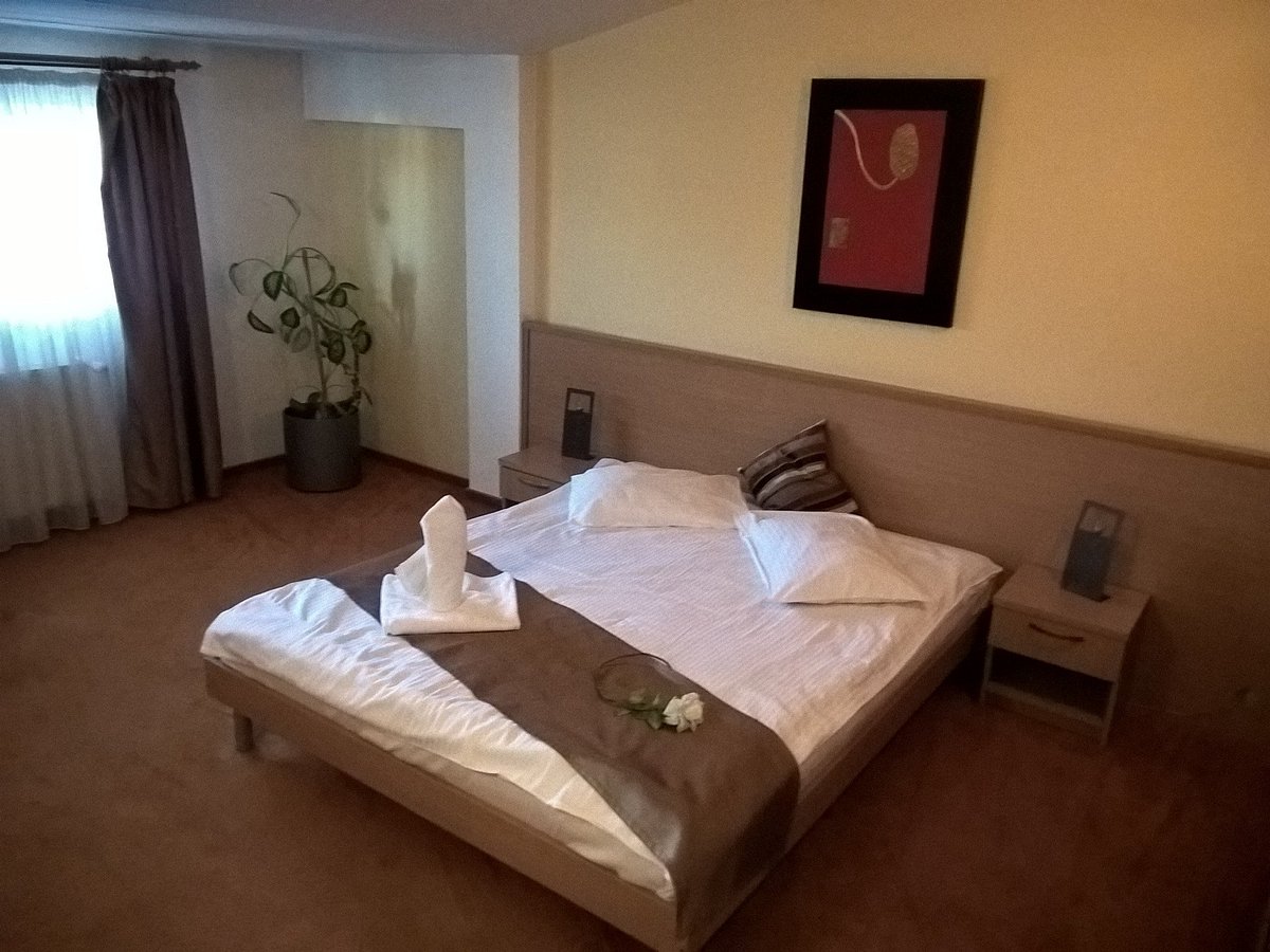 Hotel Vandia, hotell i Timisoara