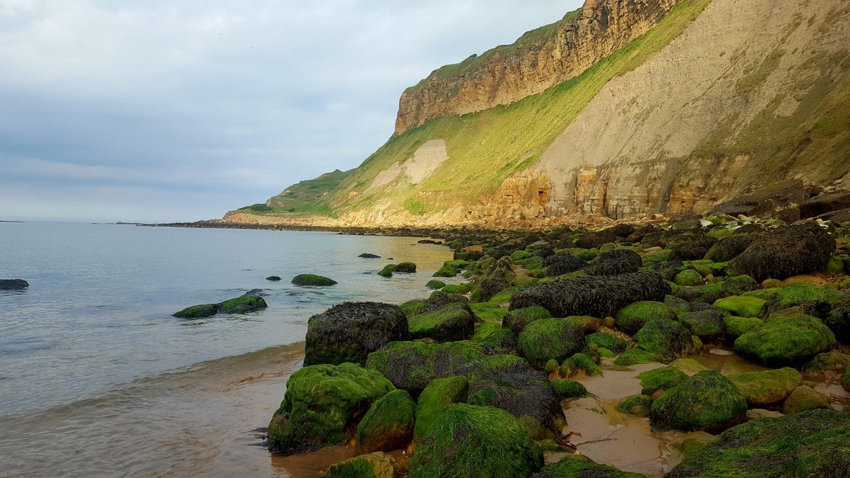 Cayton Bay Beach - O que saber antes de ir (ATUALIZADO 2023)