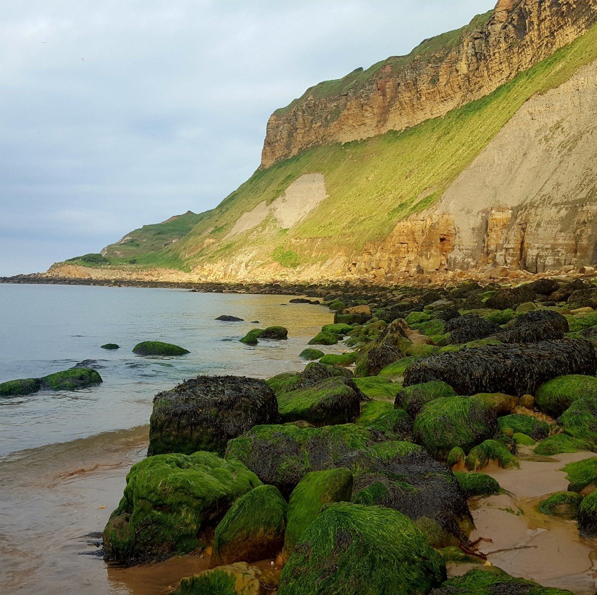 Cayton Bay Beach - O que saber antes de ir (ATUALIZADO 2023)